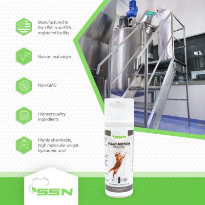 SSN Fluid Motion