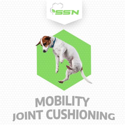SSN Fluid Motion